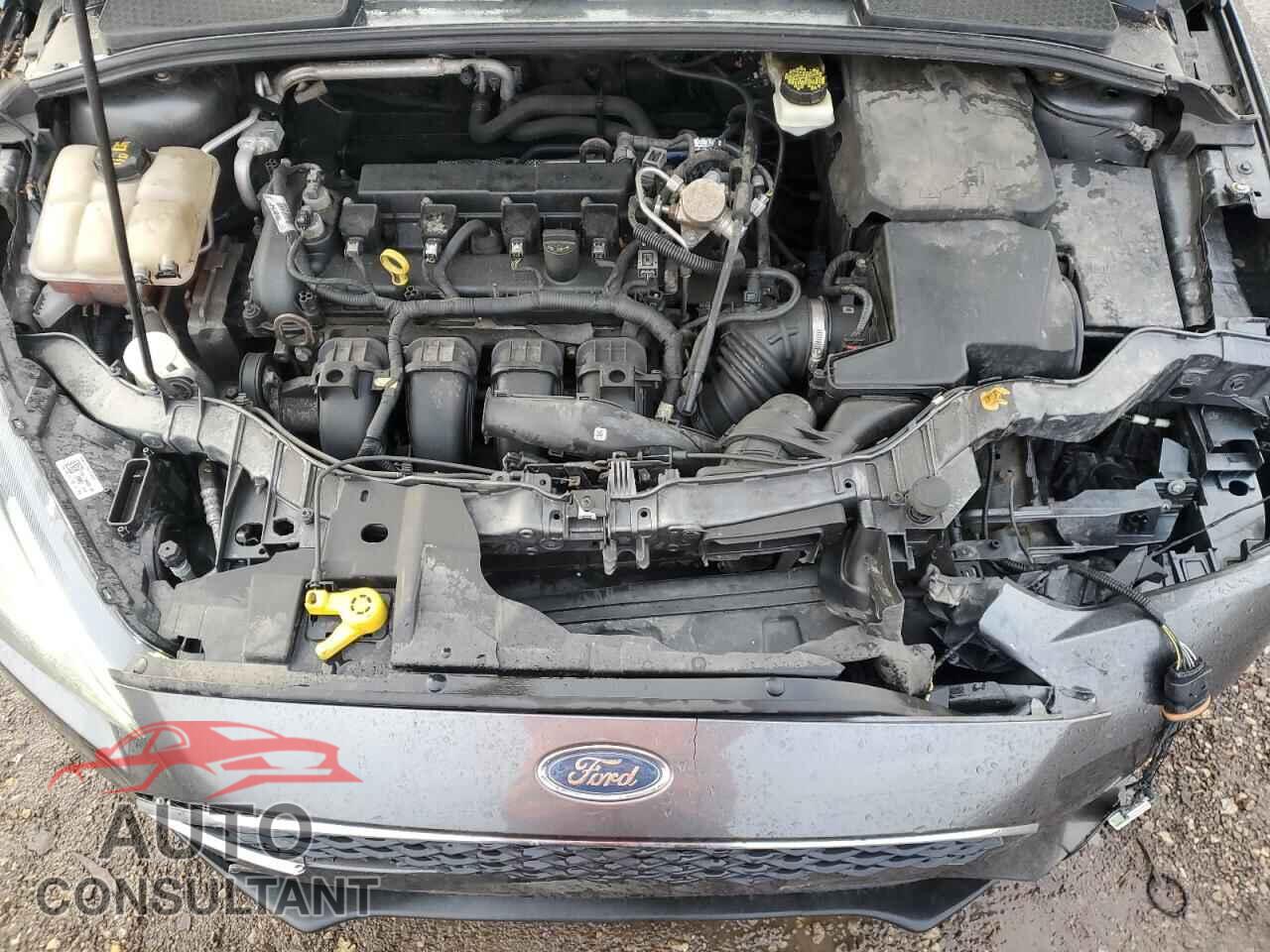 FORD FOCUS 2017 - 1FADP3M21HL309230