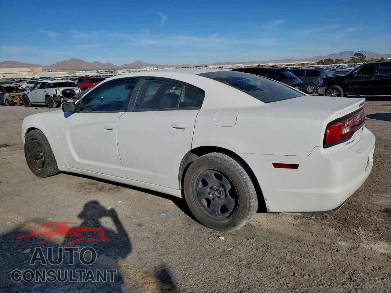 DODGE CHARGER 2013 - 2C3CDXAT4DH610458