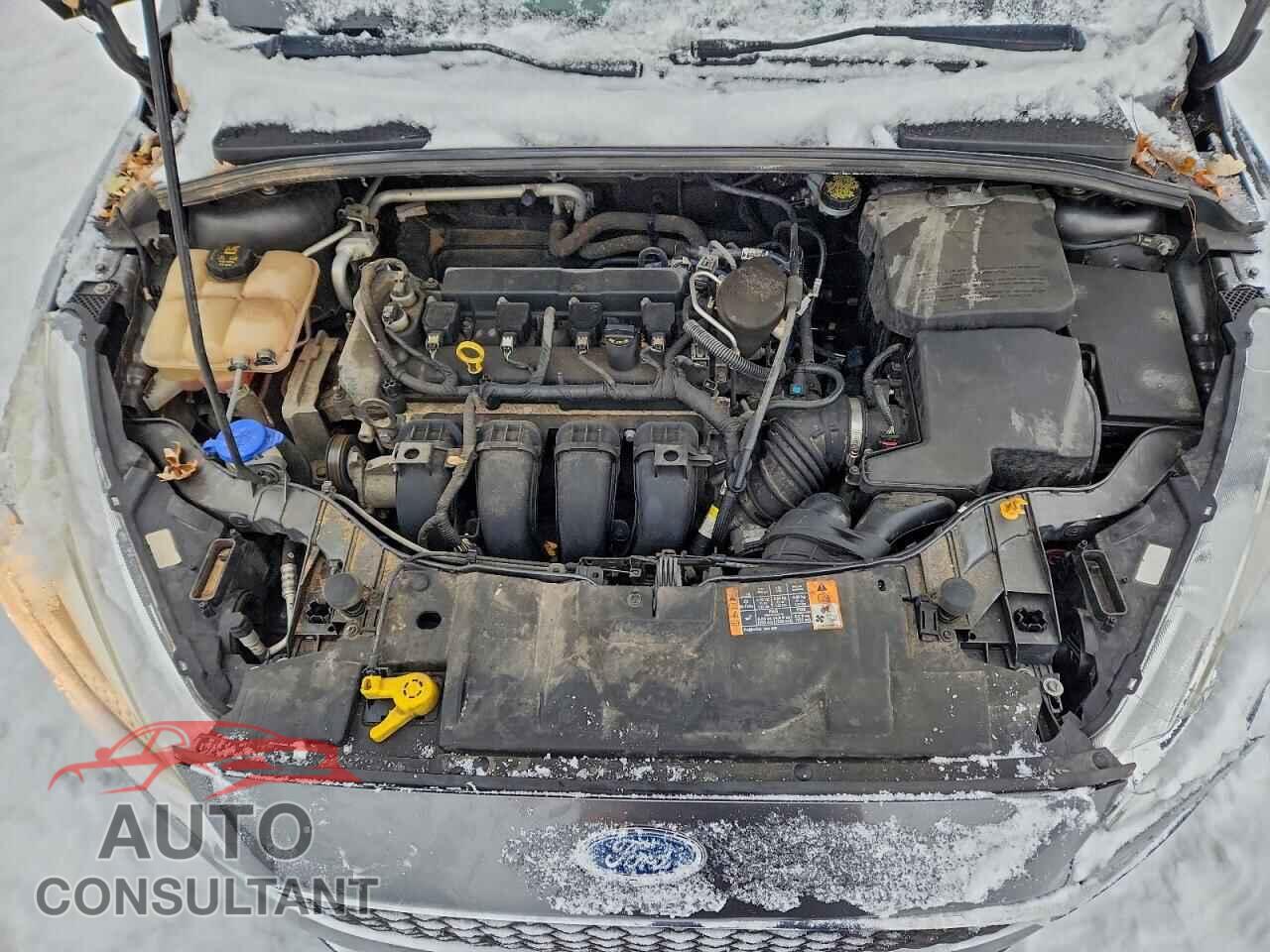 FORD FOCUS 2016 - 1FADP3E24GL202508