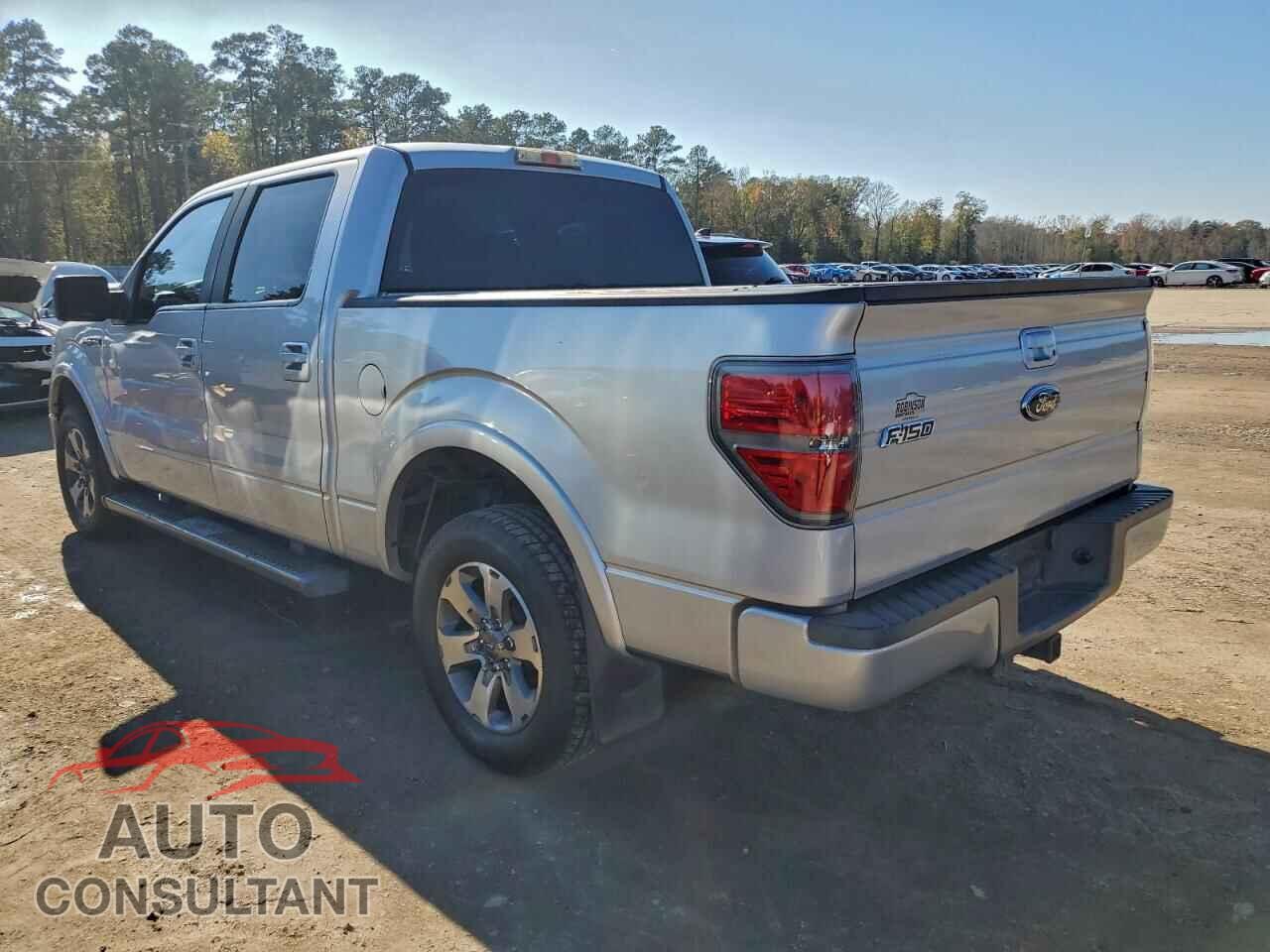 FORD F-150 2010 - 1FTEW1C8XAKE04411