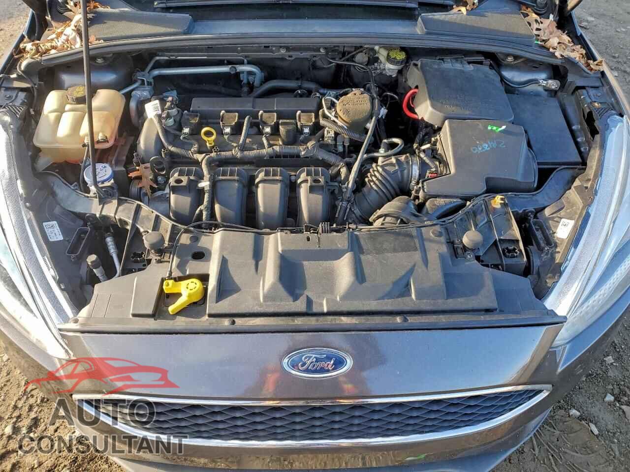 FORD FOCUS 2016 - 1FADP3F21GL226571