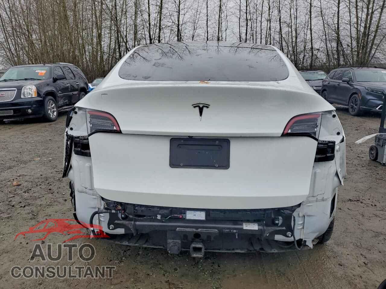 TESLA MODEL Y 2023 - 7SAYGDEE8PF697779