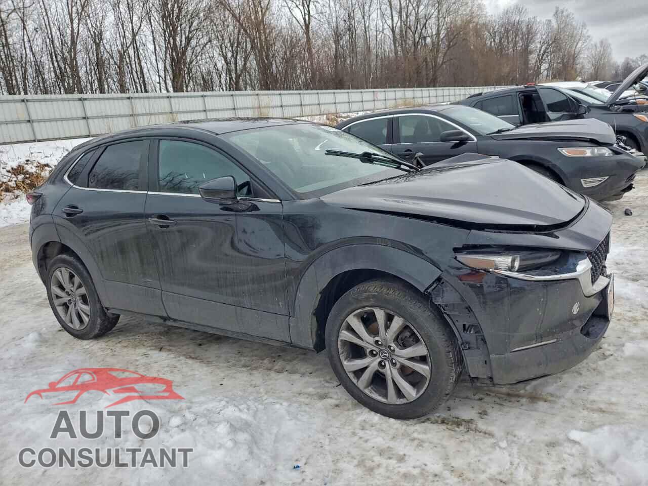 MAZDA CX30 2021 - 3MVDMBBL3MM238497