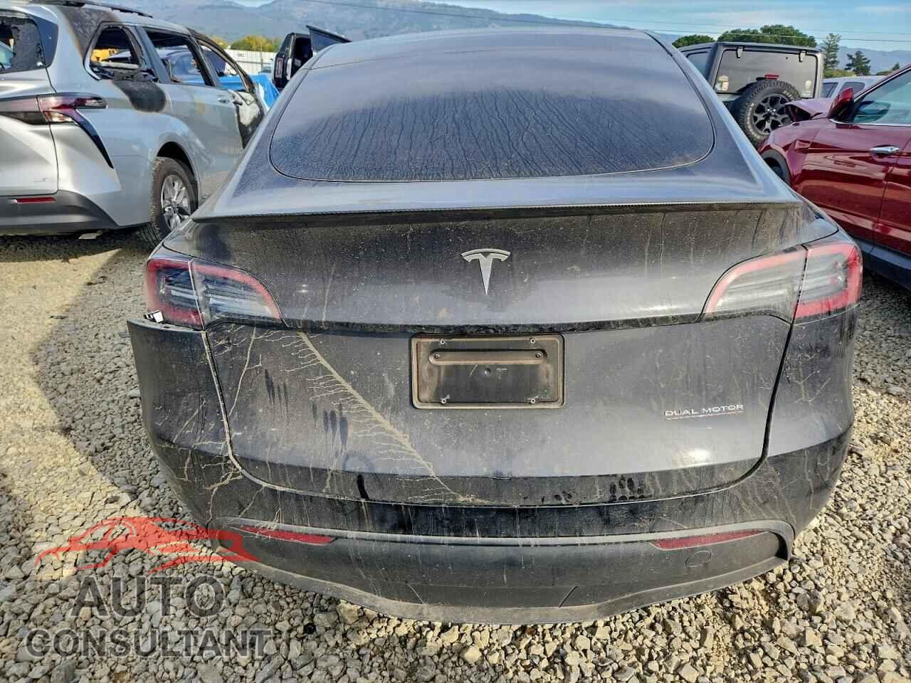 TESLA MODEL Y 2024 - 7SAYGDEF5RF019809
