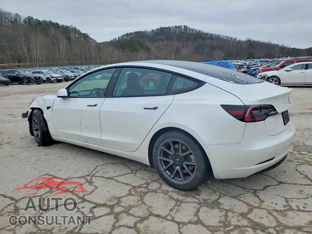 TESLA MODEL 3 2021 - 5YJ3E1EB8MF049310