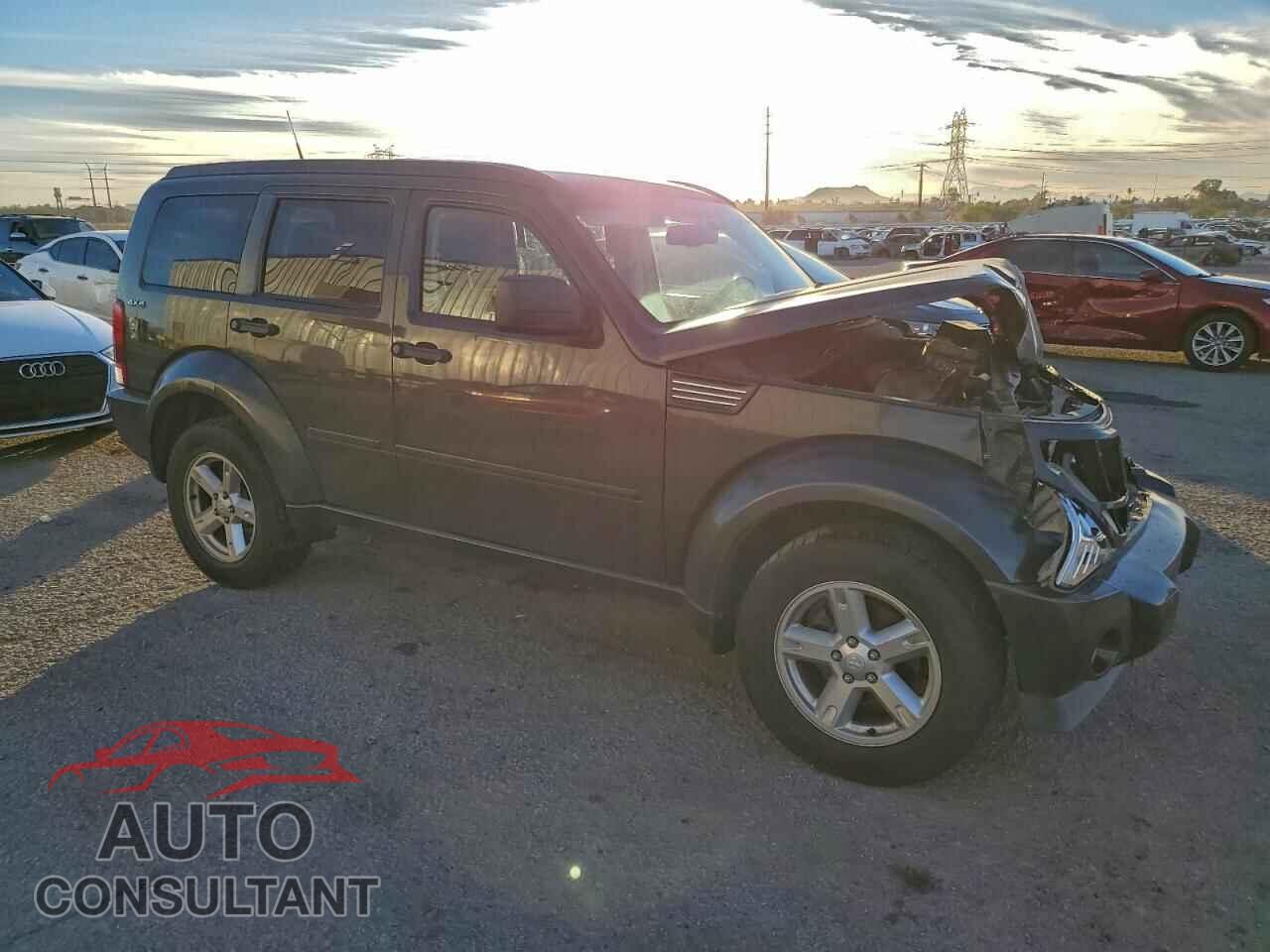 DODGE NITRO 2011 - 1D4PU5GK9BW553739