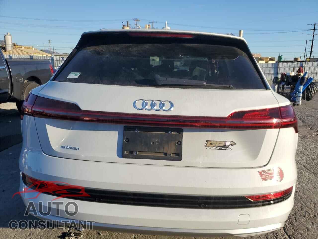 AUDI E-TRON 2019 - WA1VAAGE0KB021149