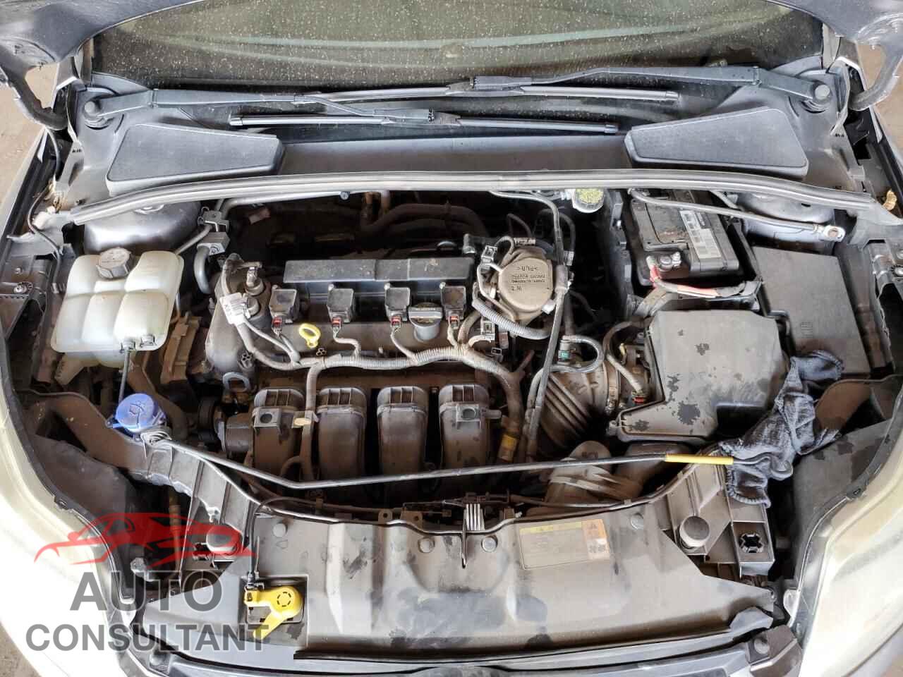 FORD FOCUS 2013 - 1FADP3F21DL120973