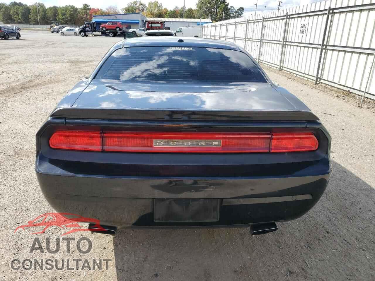 DODGE CHALLENGER 2013 - 2C3CDYBT3DH665987