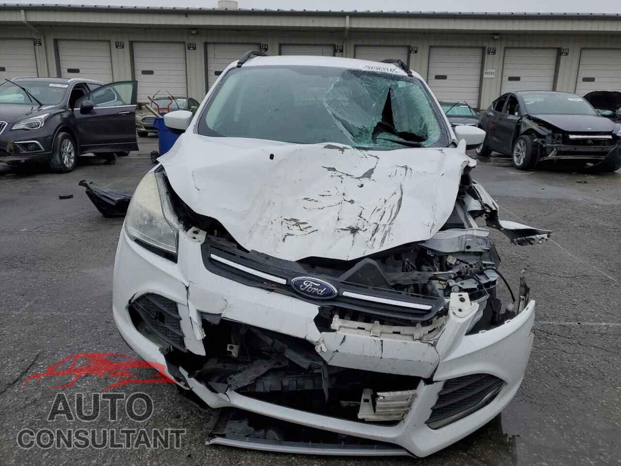 FORD ESCAPE 2014 - 1FMCU9GX2EUD71293