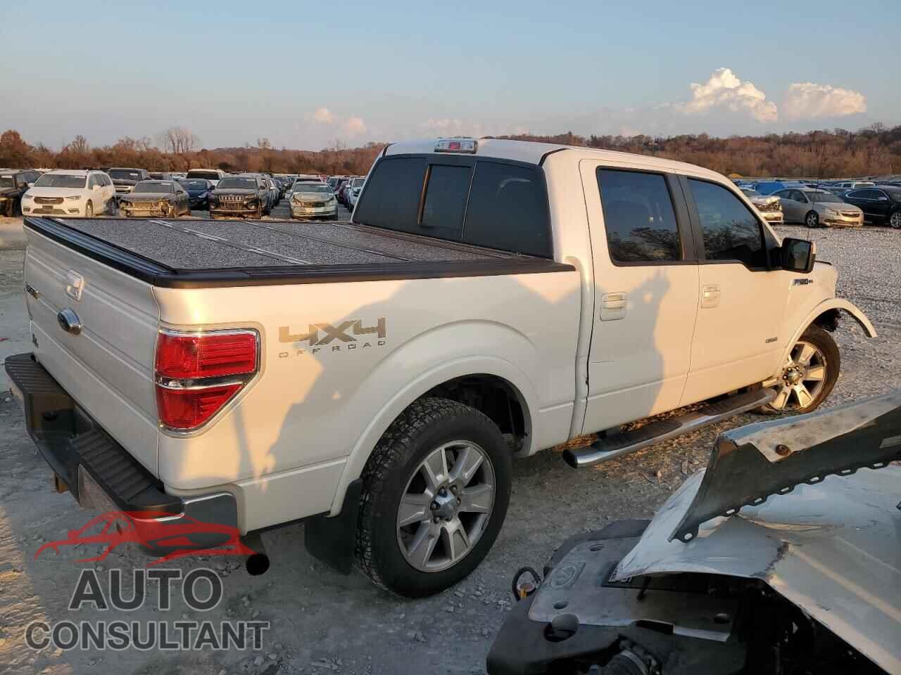 FORD F-150 2011 - 1FTFW1ET1BFC05294