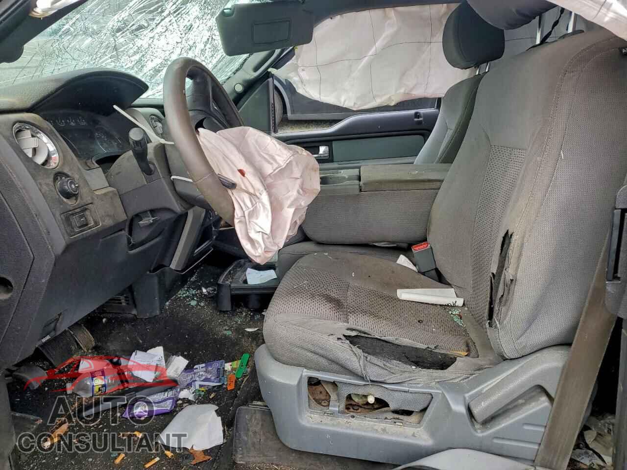 FORD F-150 2013 - 1FTFX1CT3DFC84616