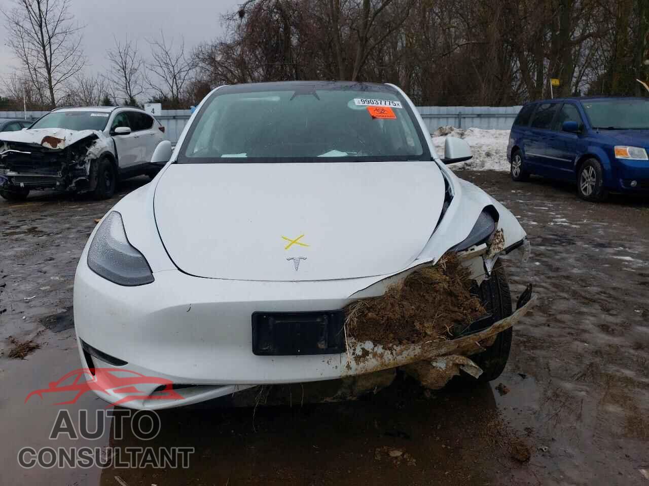 TESLA MODEL Y 2023 - LRWYGDFD0PC929997