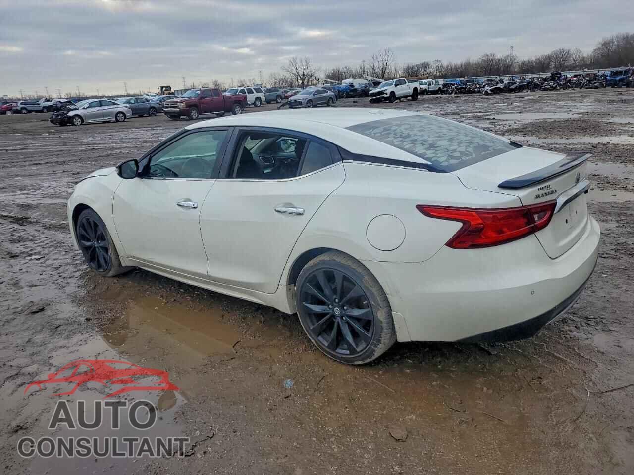 NISSAN MAXIMA 2017 - 1N4AA6AP2HC455979