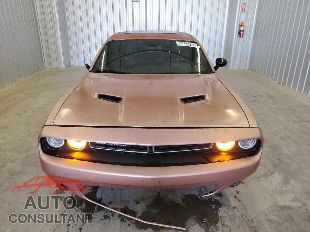 DODGE CHALLENGER 2019 - 2C3CDZAG6KH627967