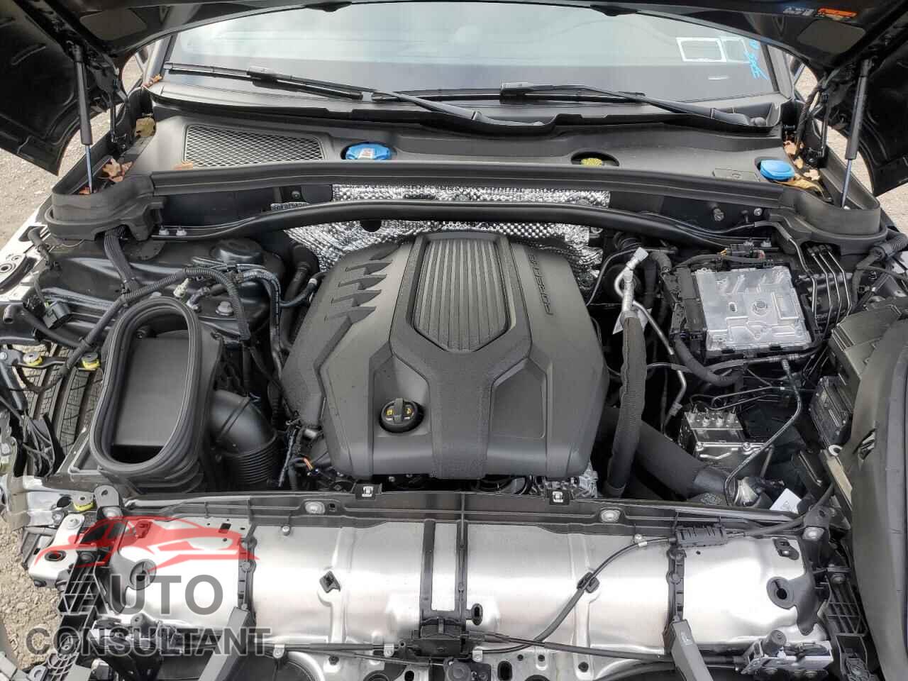 PORSCHE MACAN BASE 2025 - WP1AA2A54SLB13733