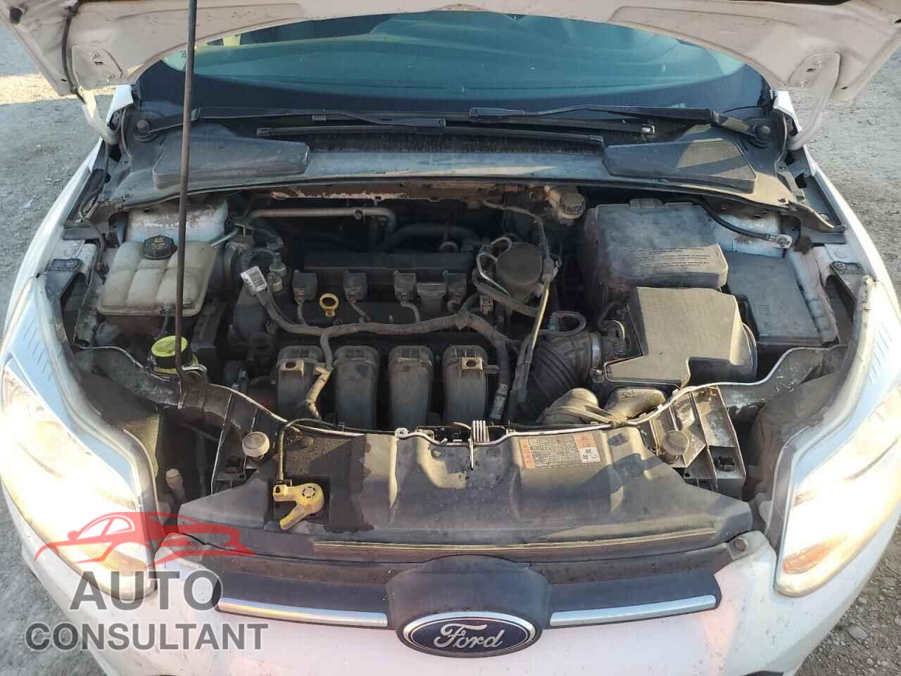 FORD FOCUS 2014 - 1FADP3E22EL340819