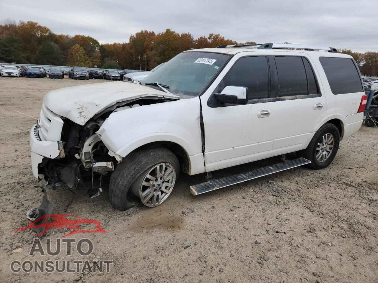 FORD EXPEDITION 2014 - 1FMJU2A51EEF20017