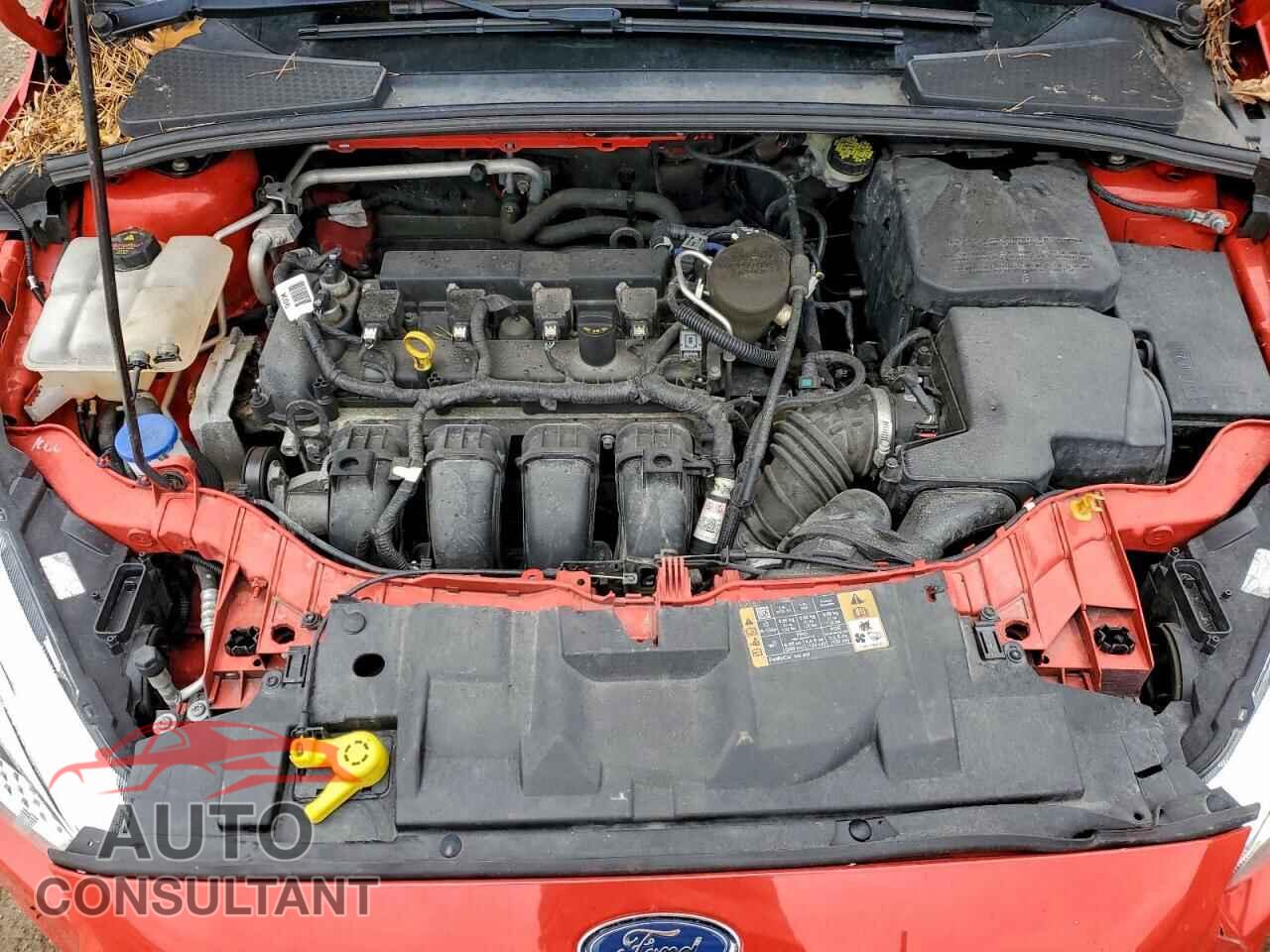 FORD FOCUS 2016 - 1FADP3K21GL288722