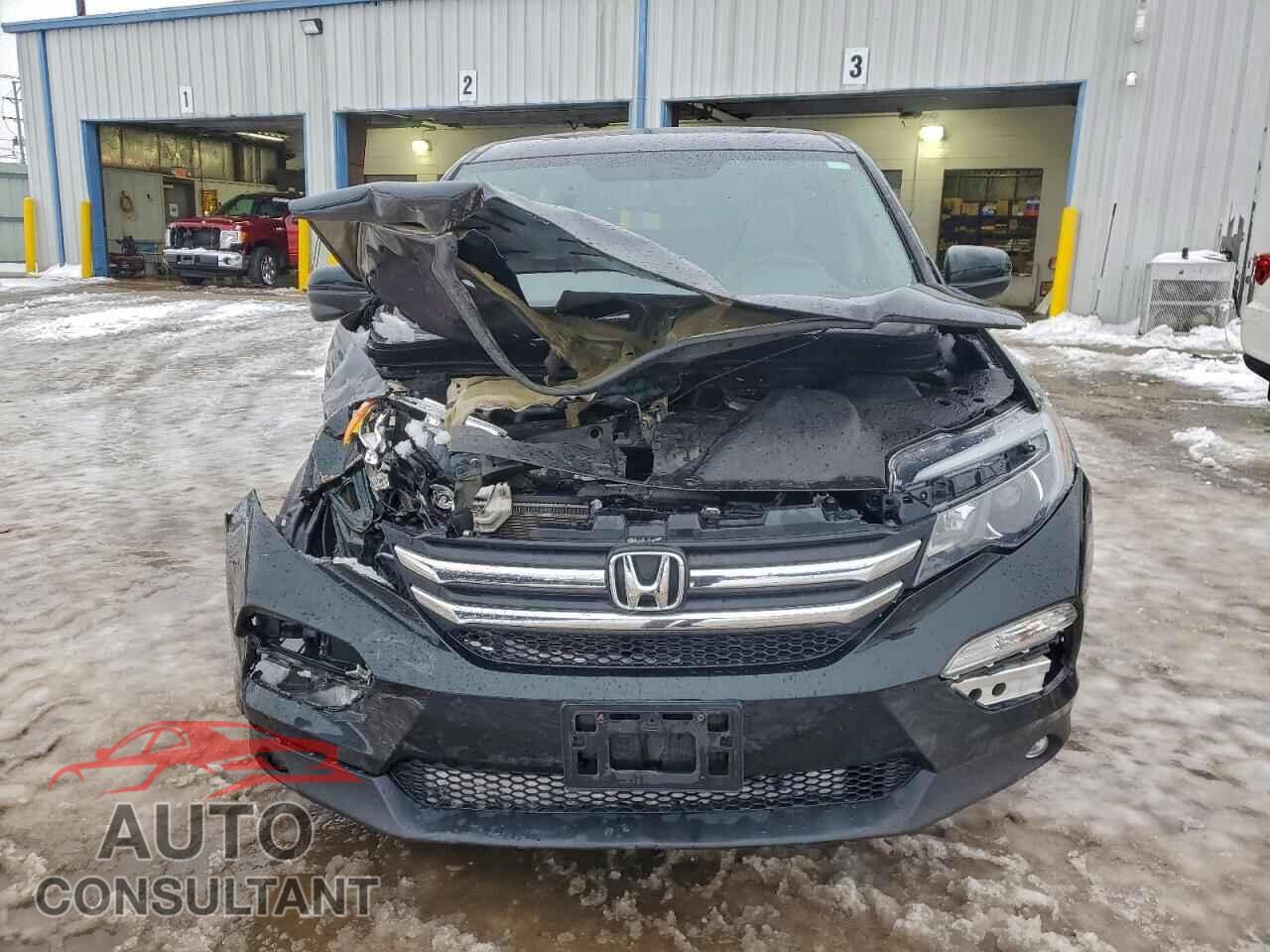 HONDA PILOT 2017 - 5FNYF6H59HB077855