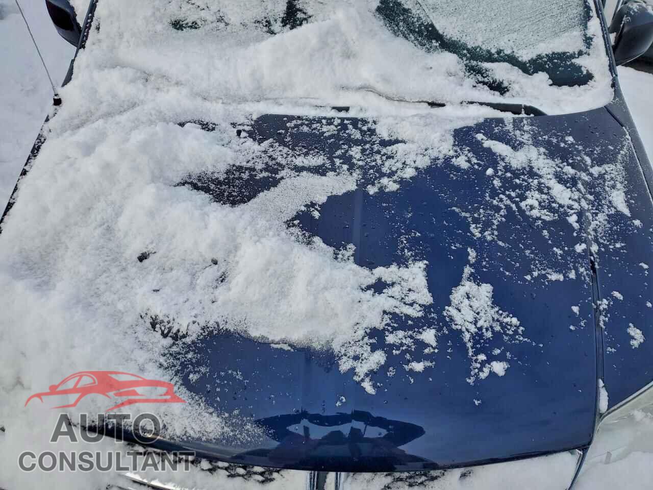 DODGE CARAVAN 2017 - 2C4RDGCG7HR714271