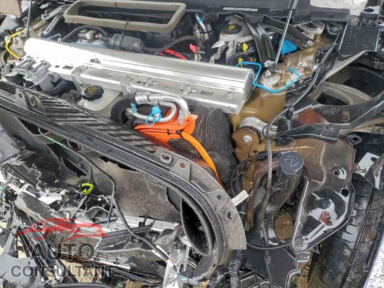 TESLA MODEL S 2022 - 5YJSA1E66NF462290