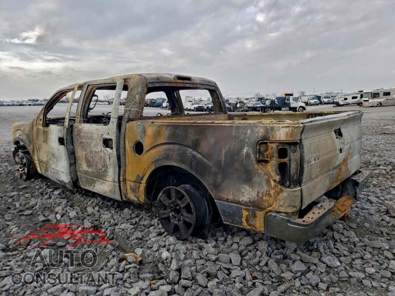 FORD F-150 2010 - 1FTEW1C89AKE05047