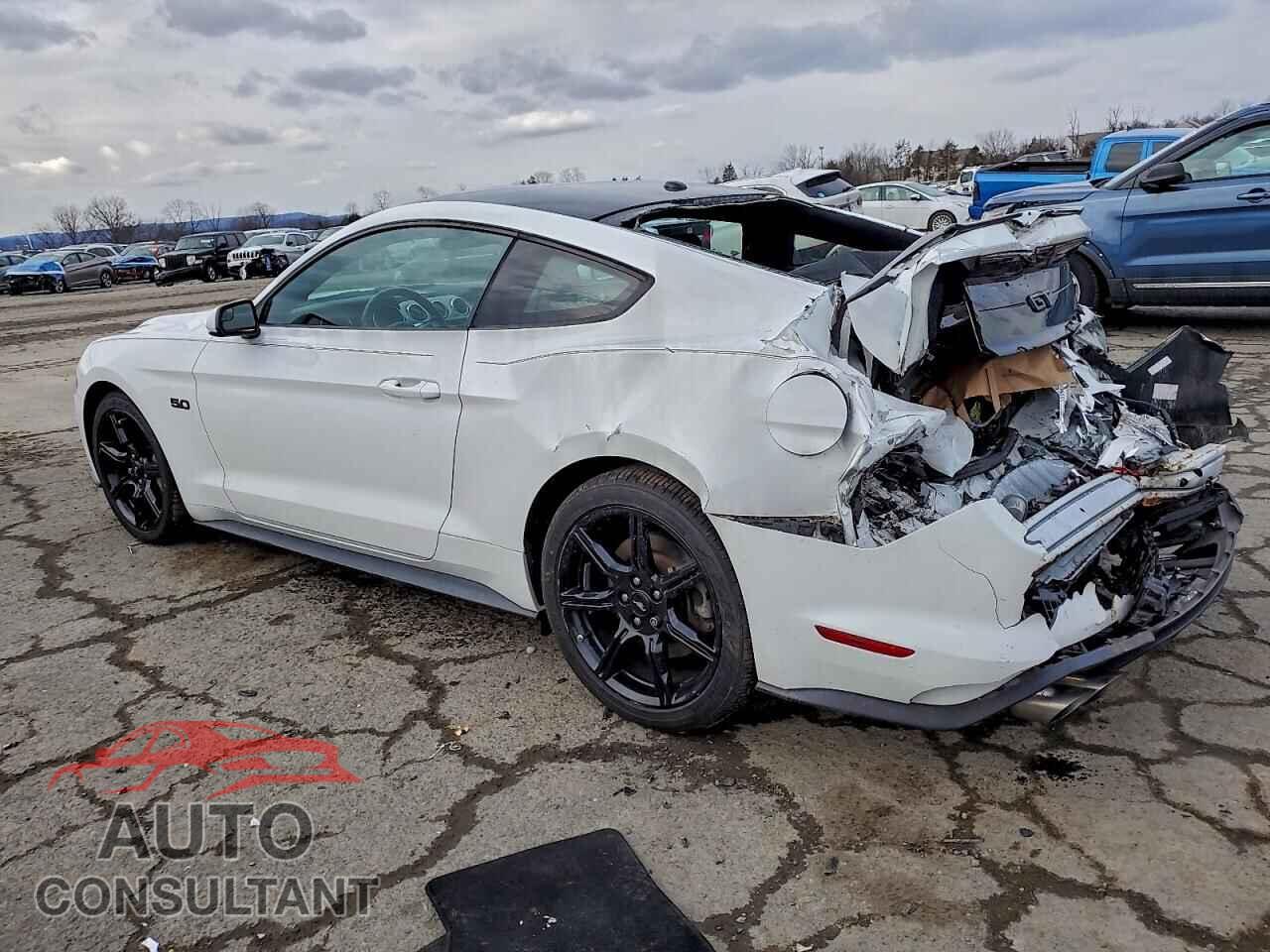 FORD MUSTANG 2019 - 1FA6P8CF7K5166032