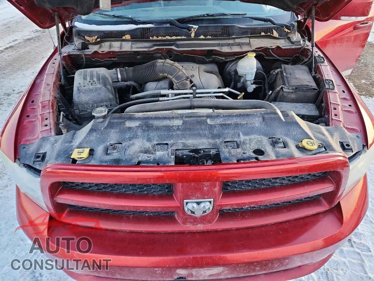 DODGE All Models 2010 - 1D7RV1GT7AS106438