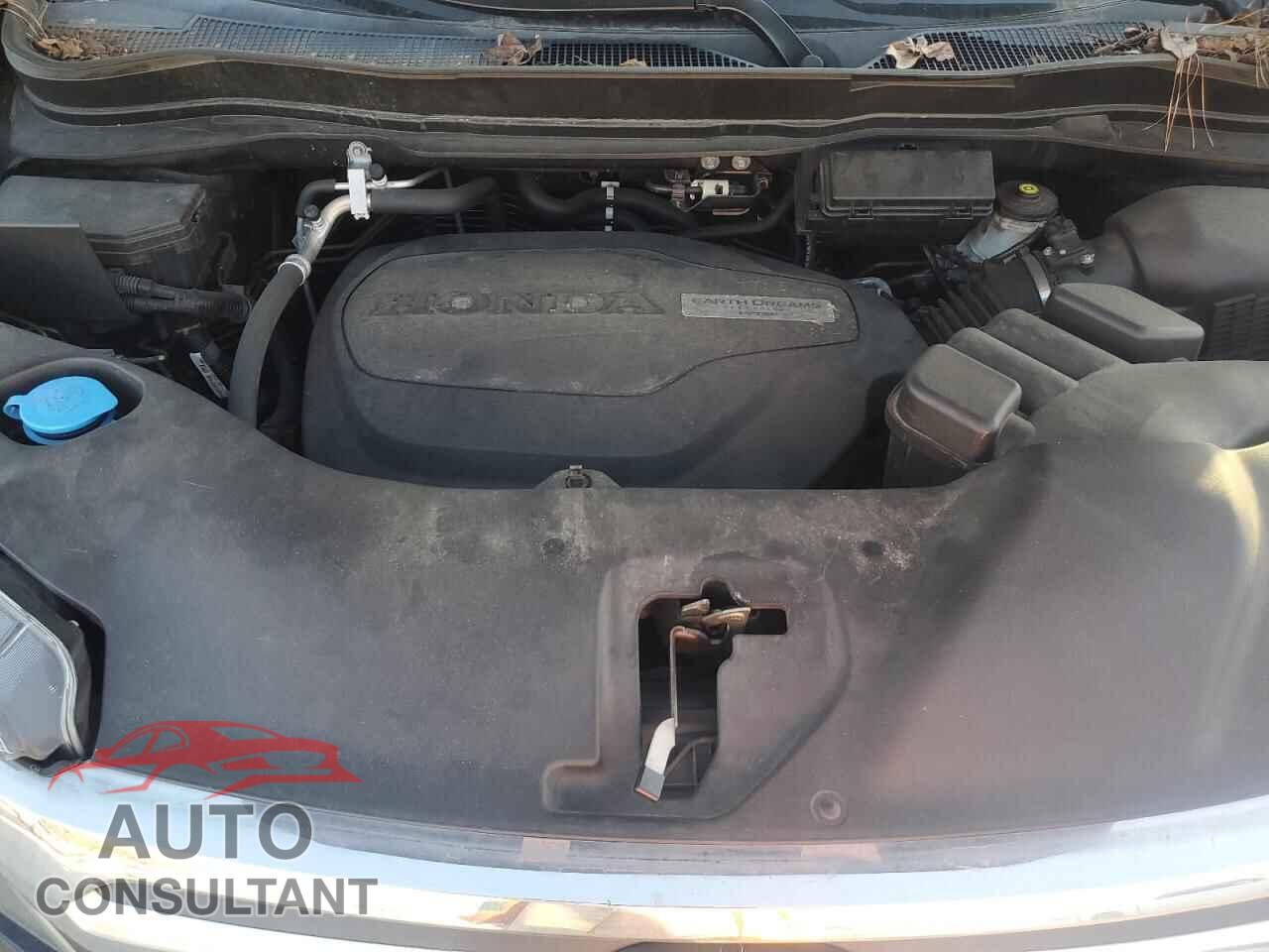 HONDA RIDGELINE 2019 - 5FPYK2F69KB004192