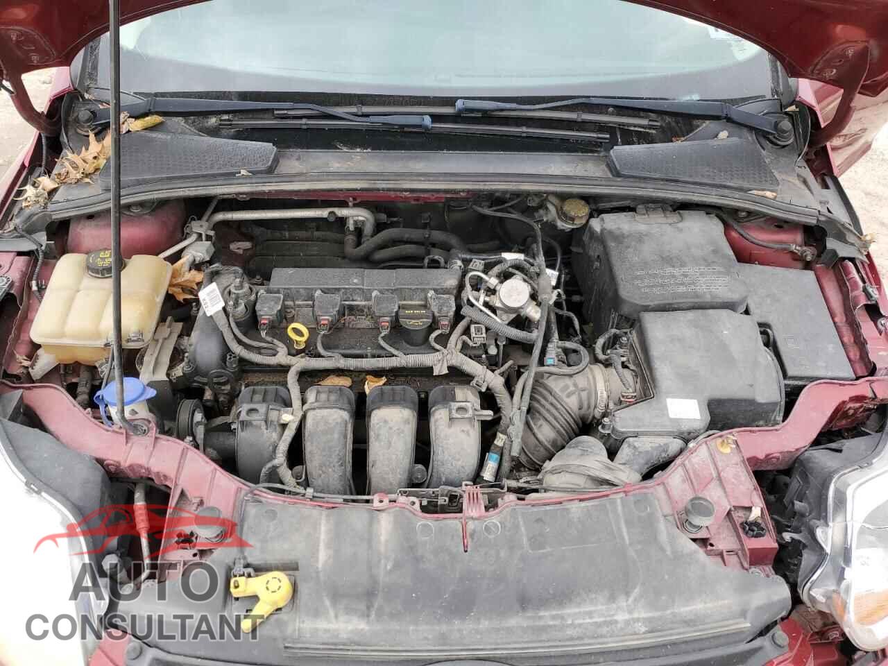 FORD FOCUS 2014 - 1FADP3F28EL246426