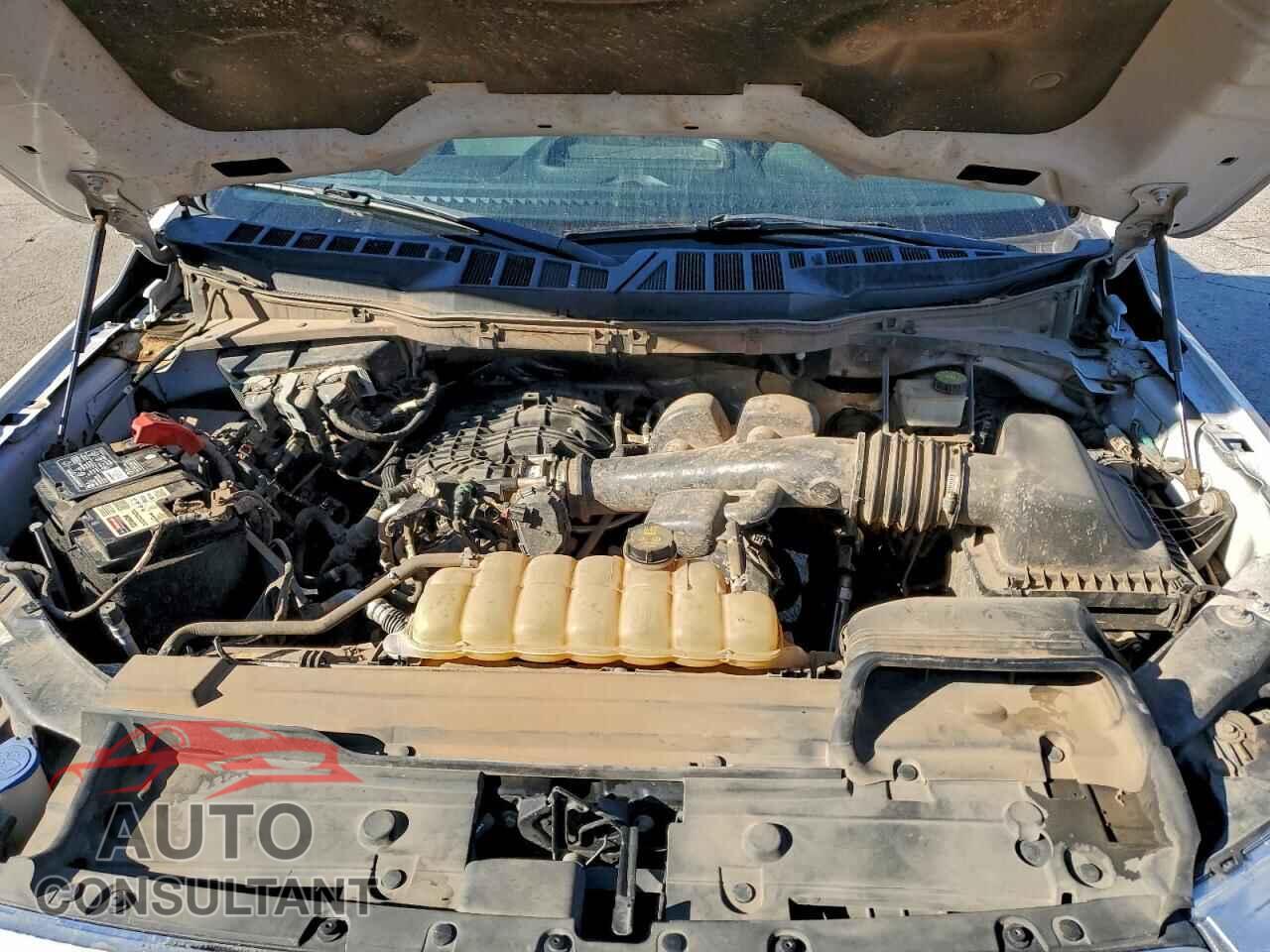 FORD F-150 2021 - 1FTEW1EB5MFA28724