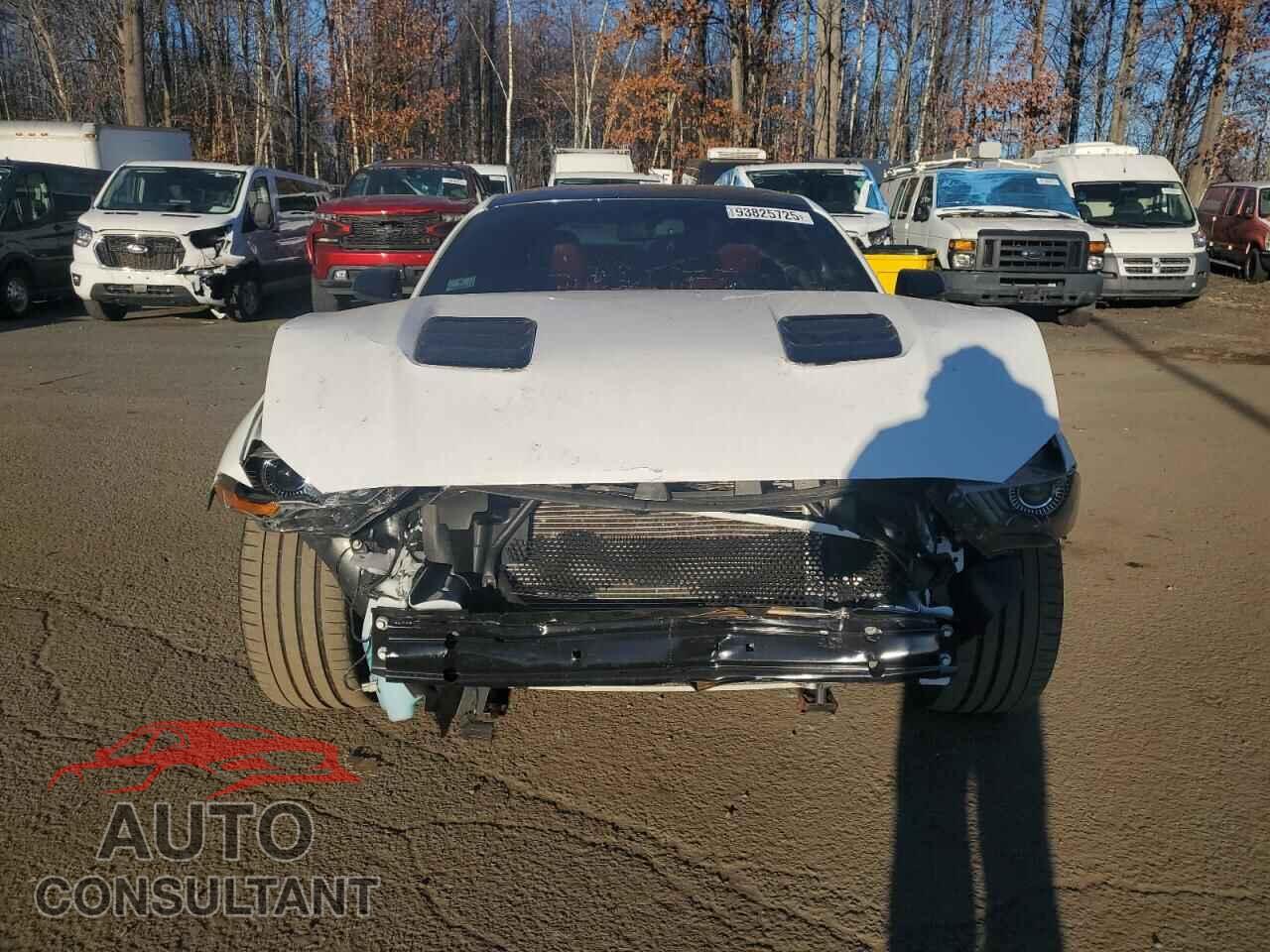 FORD MUSTANG 2019 - 1FA6P8CF2K5198760