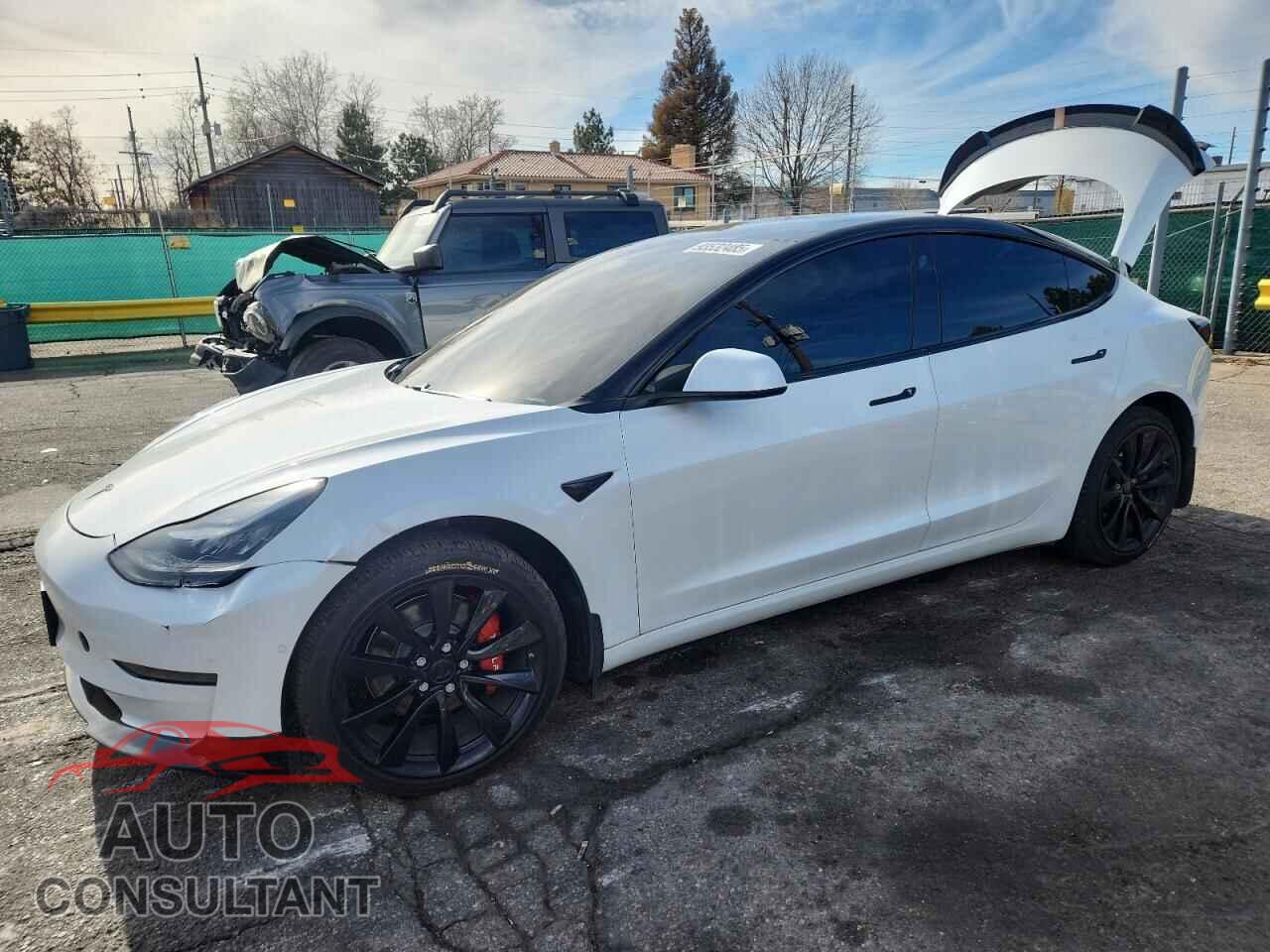 TESLA MODEL 3 2019 - 5YJ3E1EB0KF392576