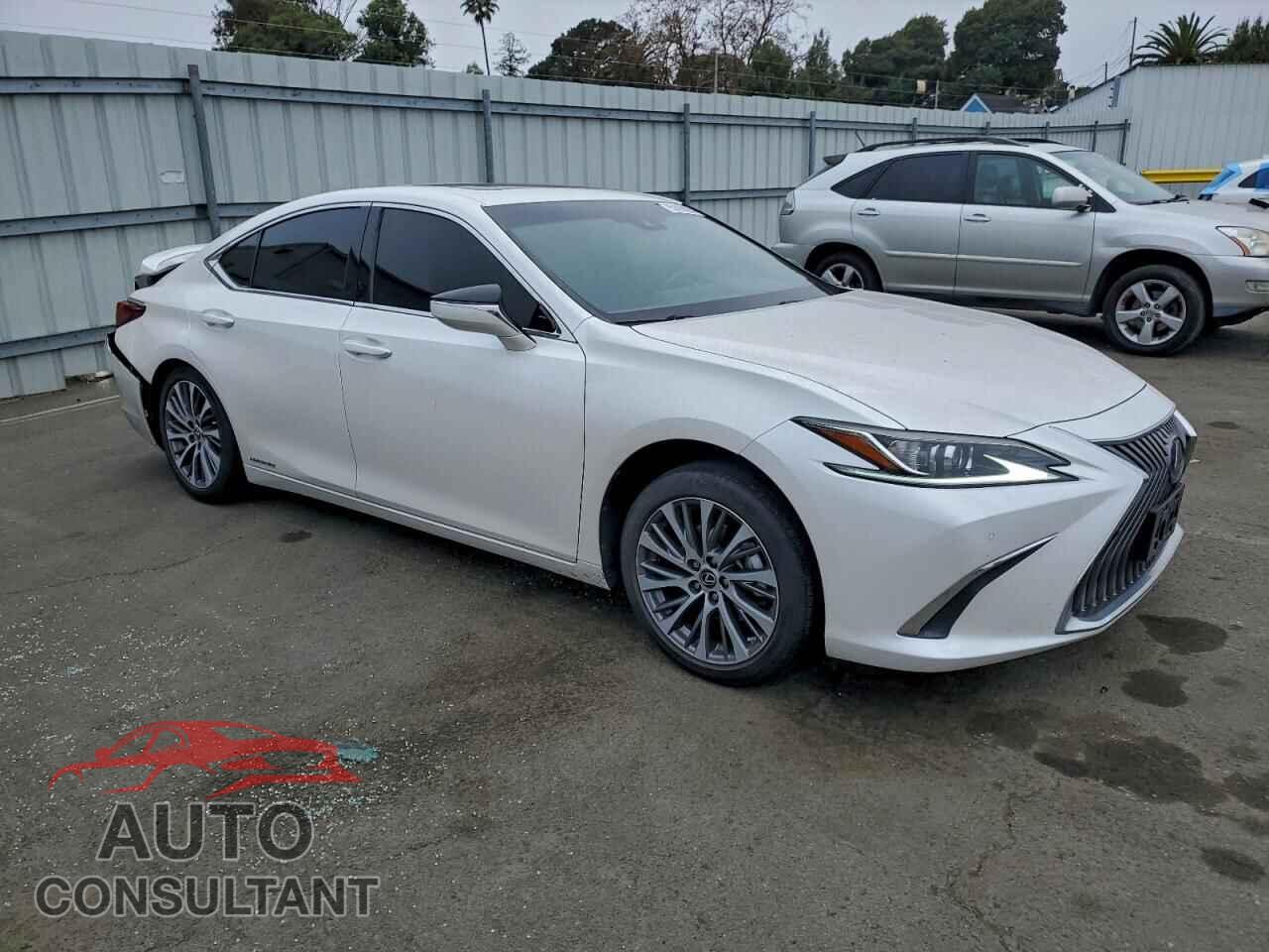 LEXUS ES300 2021 - 58ADA1C19MU002129