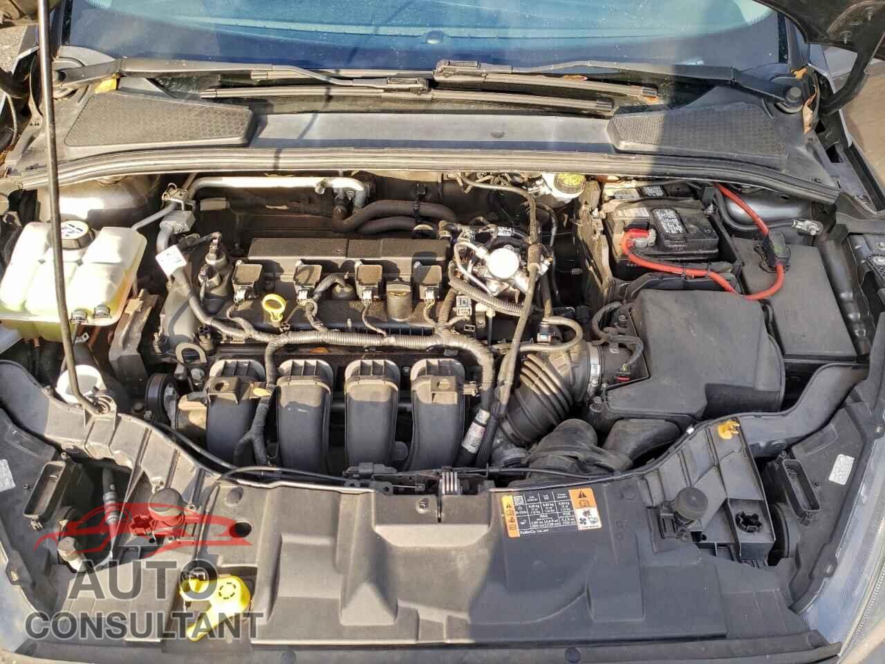 FORD FOCUS 2016 - 1FADP3K28GL407236