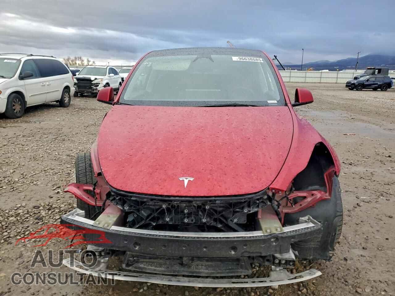 TESLA MODEL Y 2023 - 7SAYGAEE2PF893621