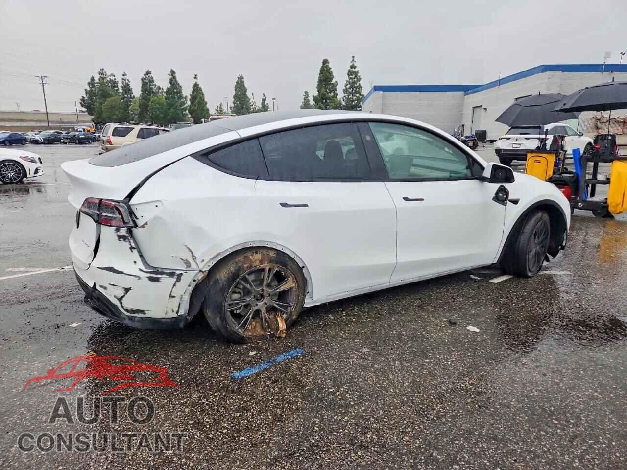 TESLA MODEL Y 2024 - 7SAYGDEE8RF165337