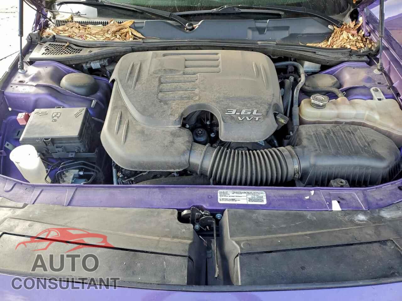 DODGE CHALLENGER 2019 - 2C3CDZAG7KH716883