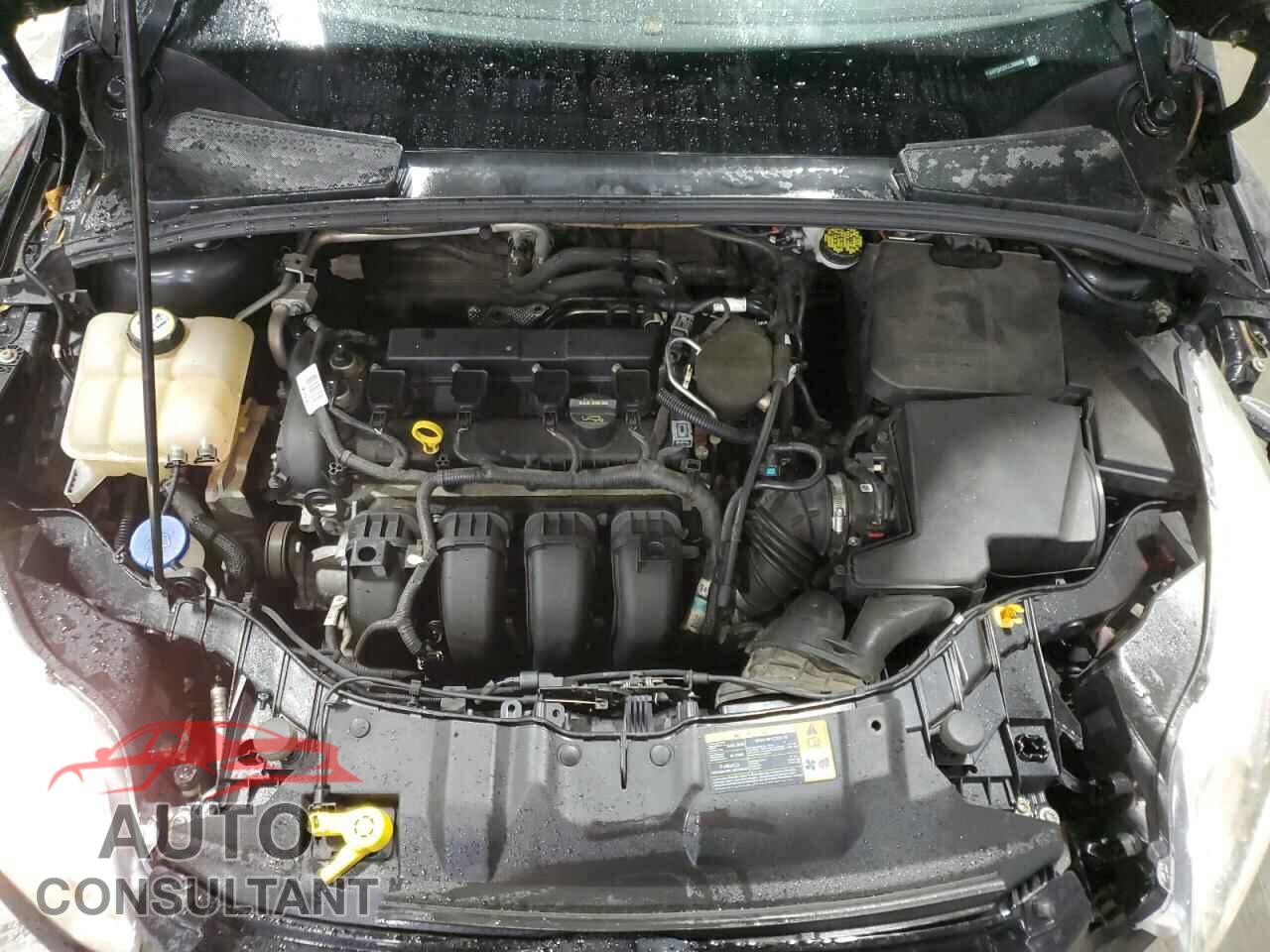 FORD FOCUS 2012 - 1FAHP3H20CL388085