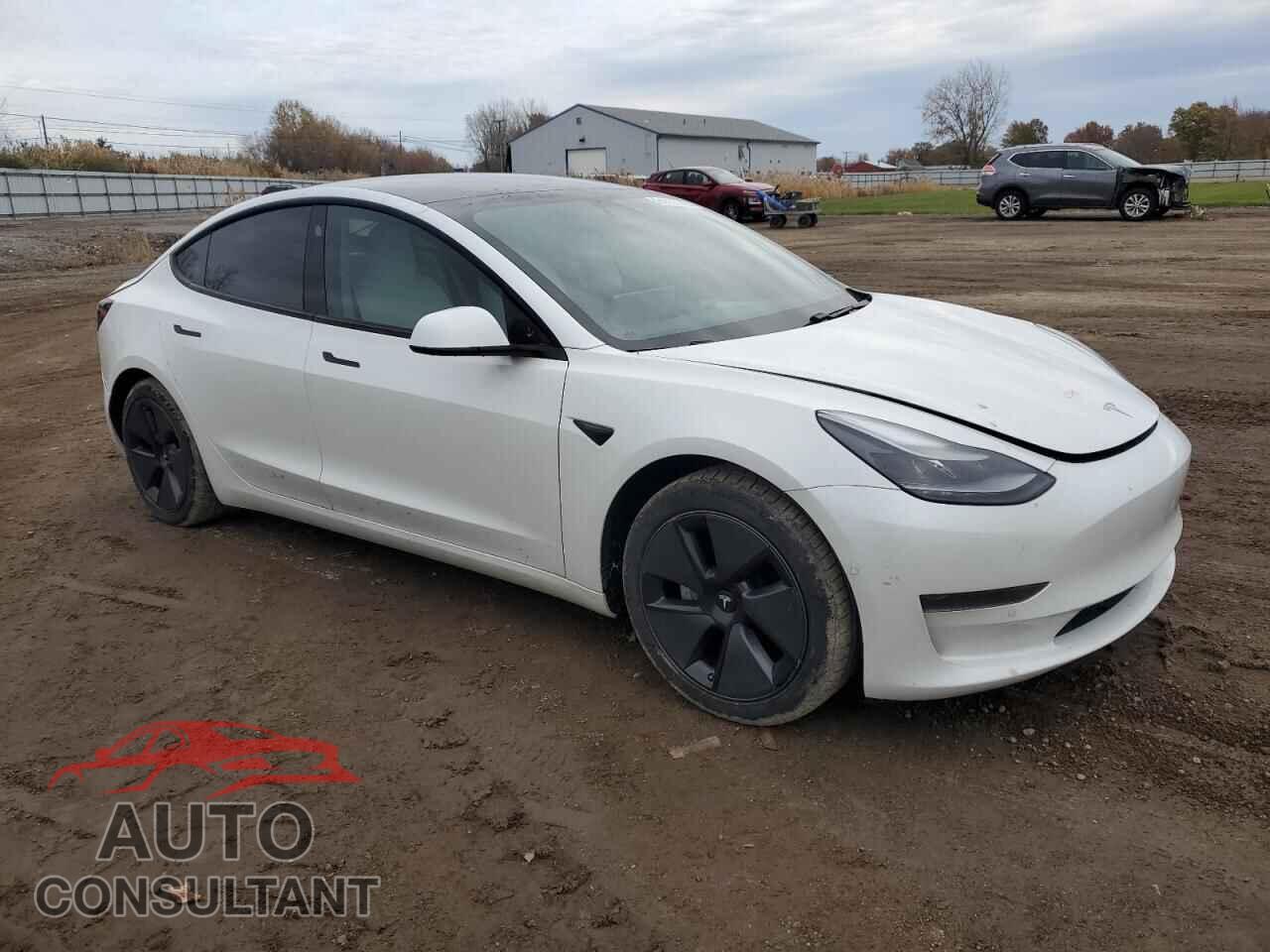 TESLA MODEL 3 2021 - 5YJ3E1EA5MF978295