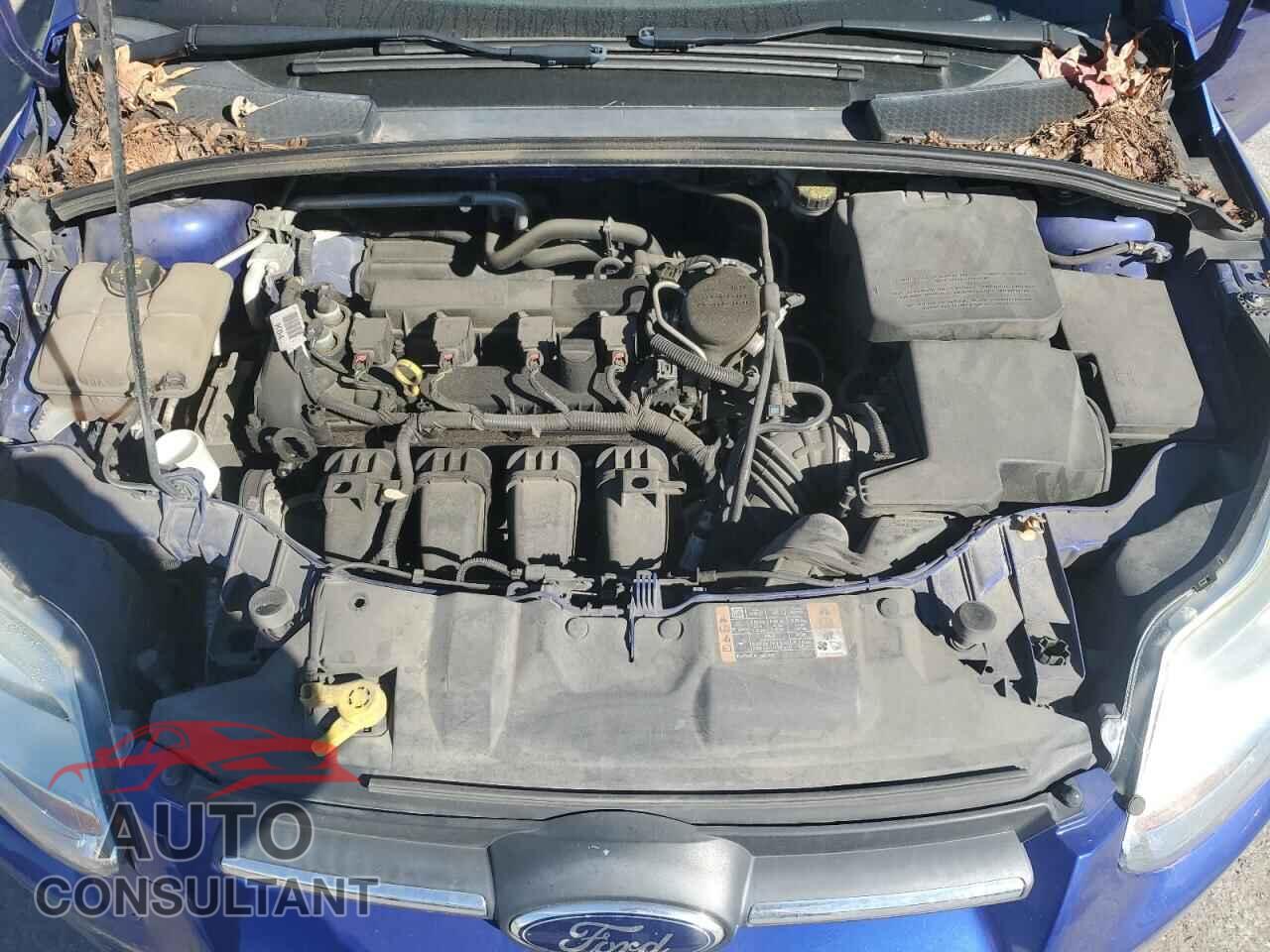 FORD FOCUS 2014 - 1FADP3F29EL427664