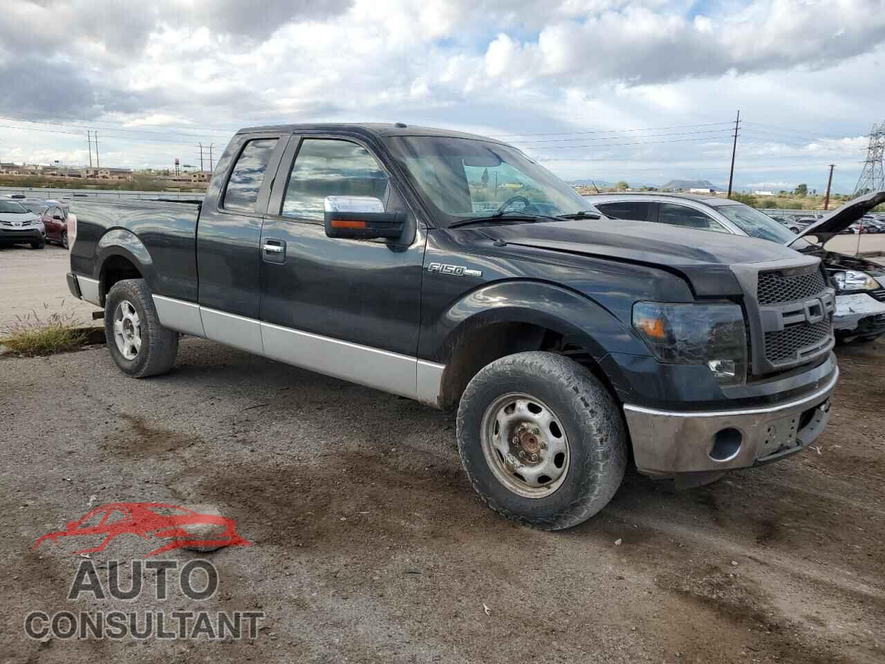 FORD F-150 2013 - 1FTFX1CF3DFA45691