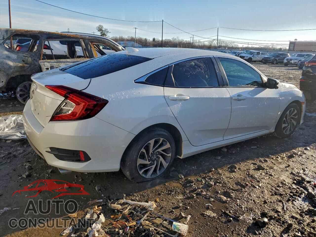 HONDA CIVIC 2017 - 2HGFC2F72HH559334