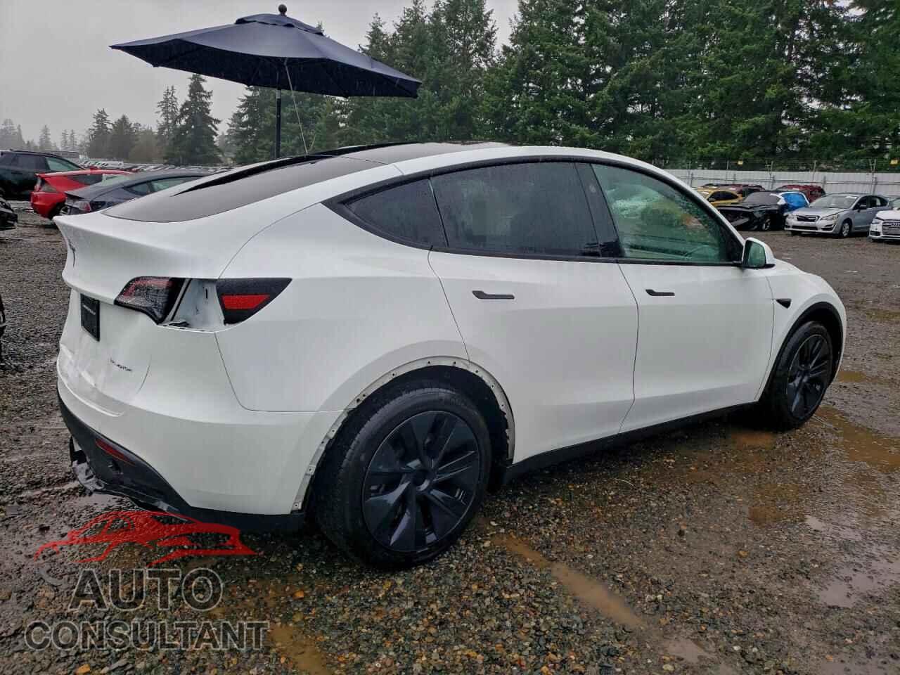 TESLA MODEL Y 2024 - 7SAYGAEE0RF204601