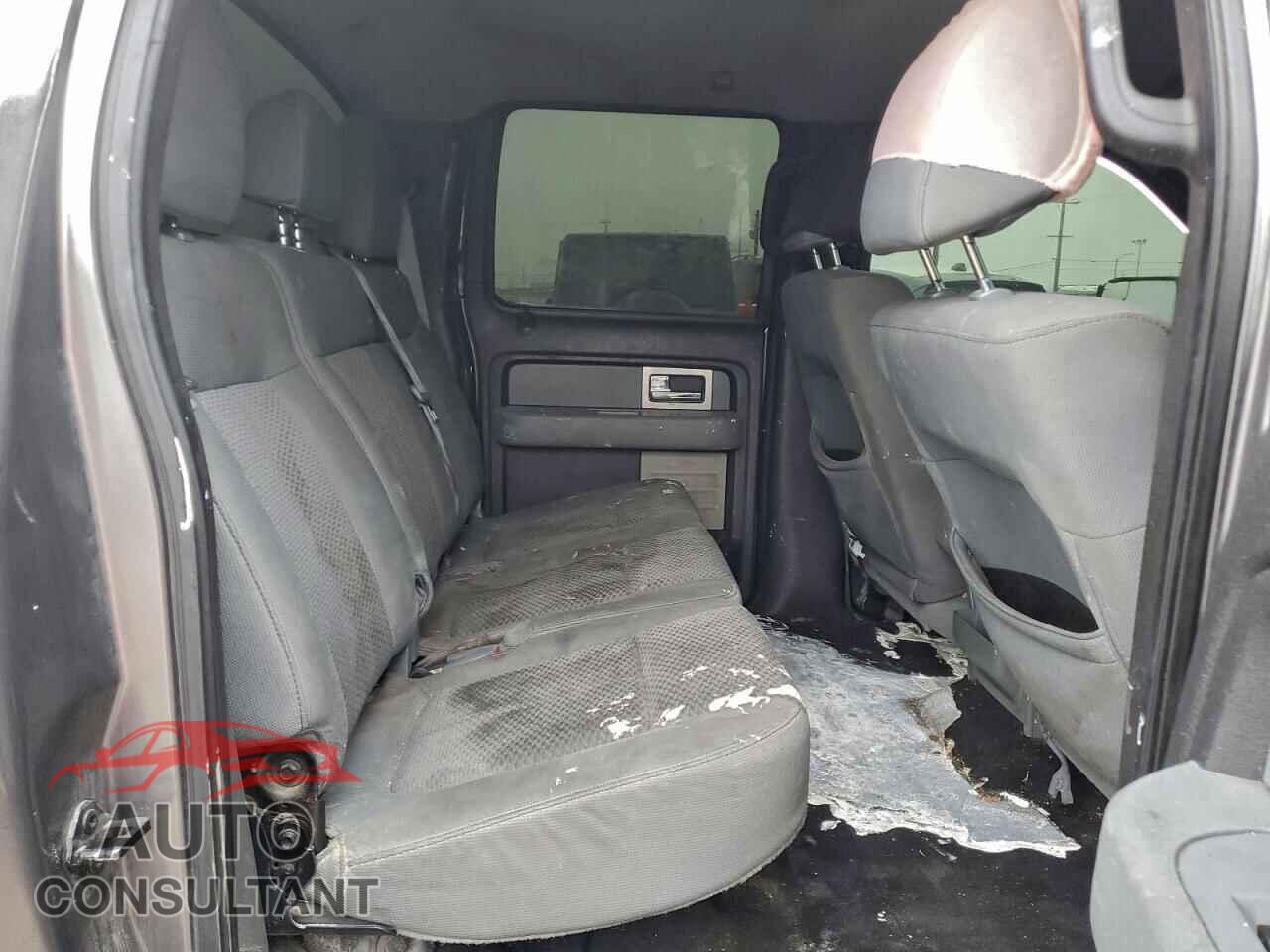 FORD F-150 2011 - 1FTFW1CF2BFD14151