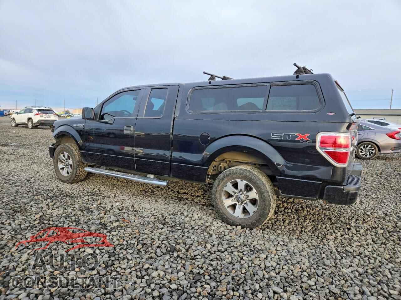 FORD F-150 2013 - 1FTFX1EFXDFA68320