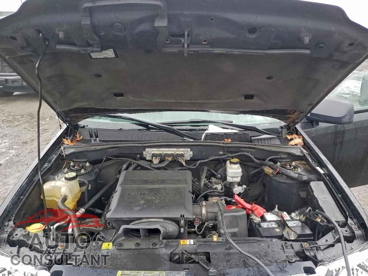 FORD ESCAPE 2010 - 1FMCU9DG6AKD36718