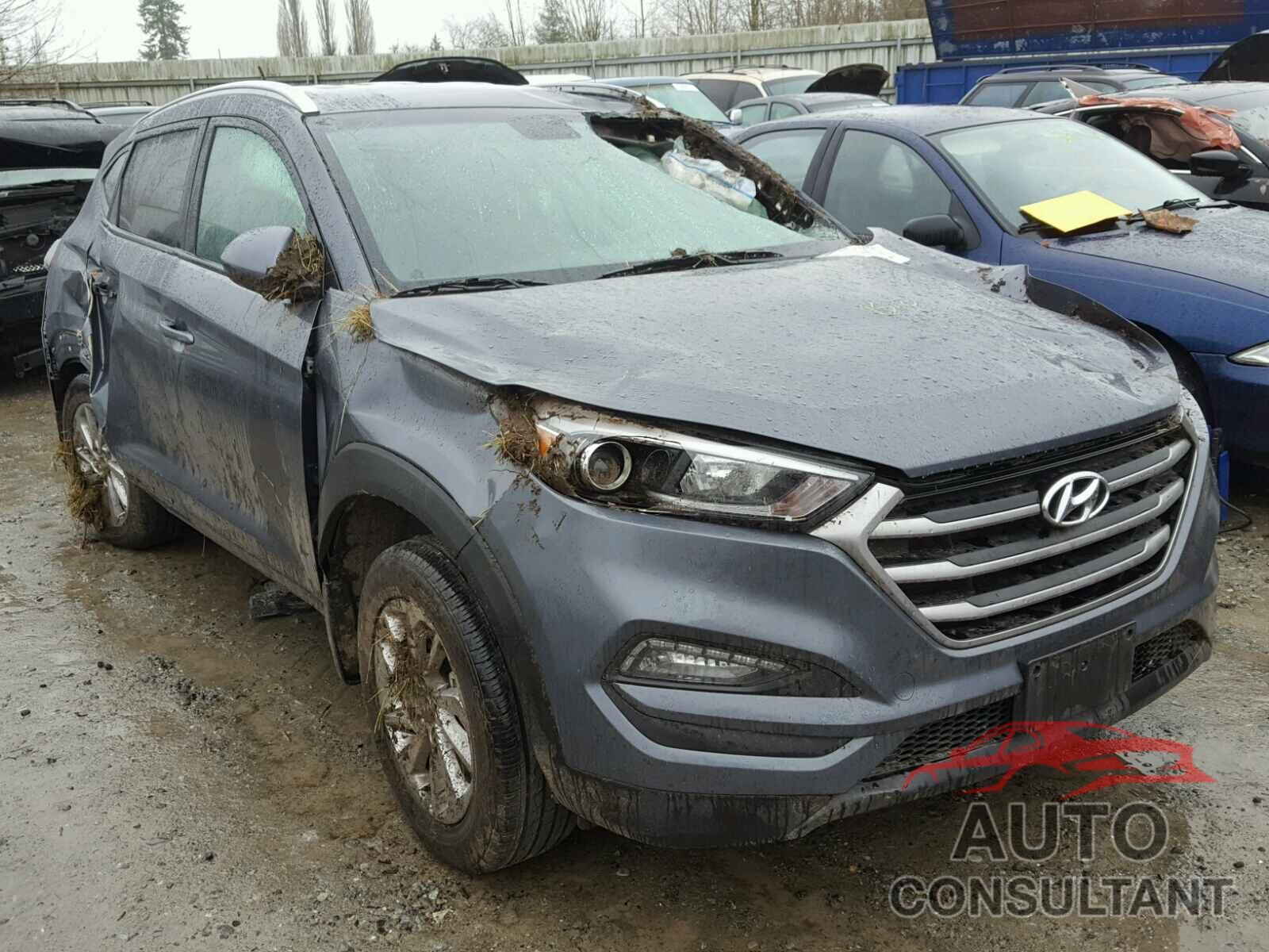 HYUNDAI TUCSON 2017 - KM8J3CA47HU312637