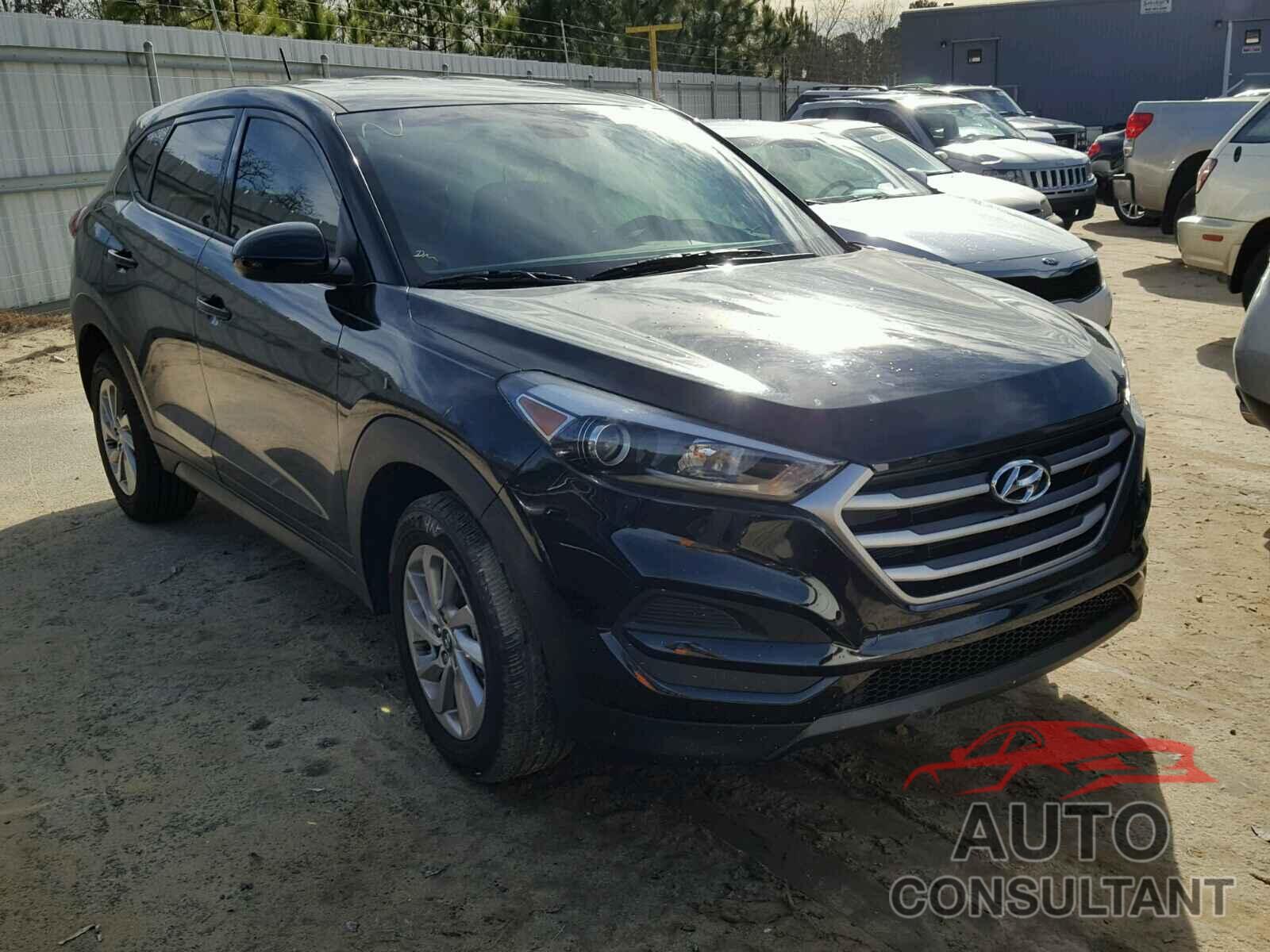 HYUNDAI TUCSON 2017 - KM8J23A42HU429836